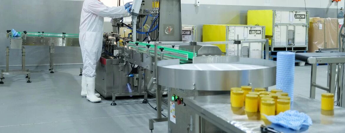 Desi-Ghee-Manufacturer