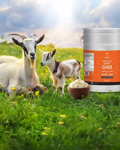 grass-fed goat ghee