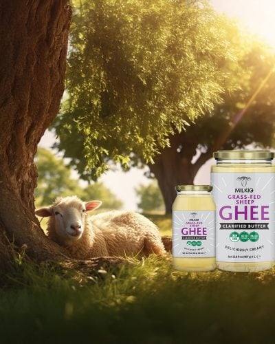 Sheep Ghee
